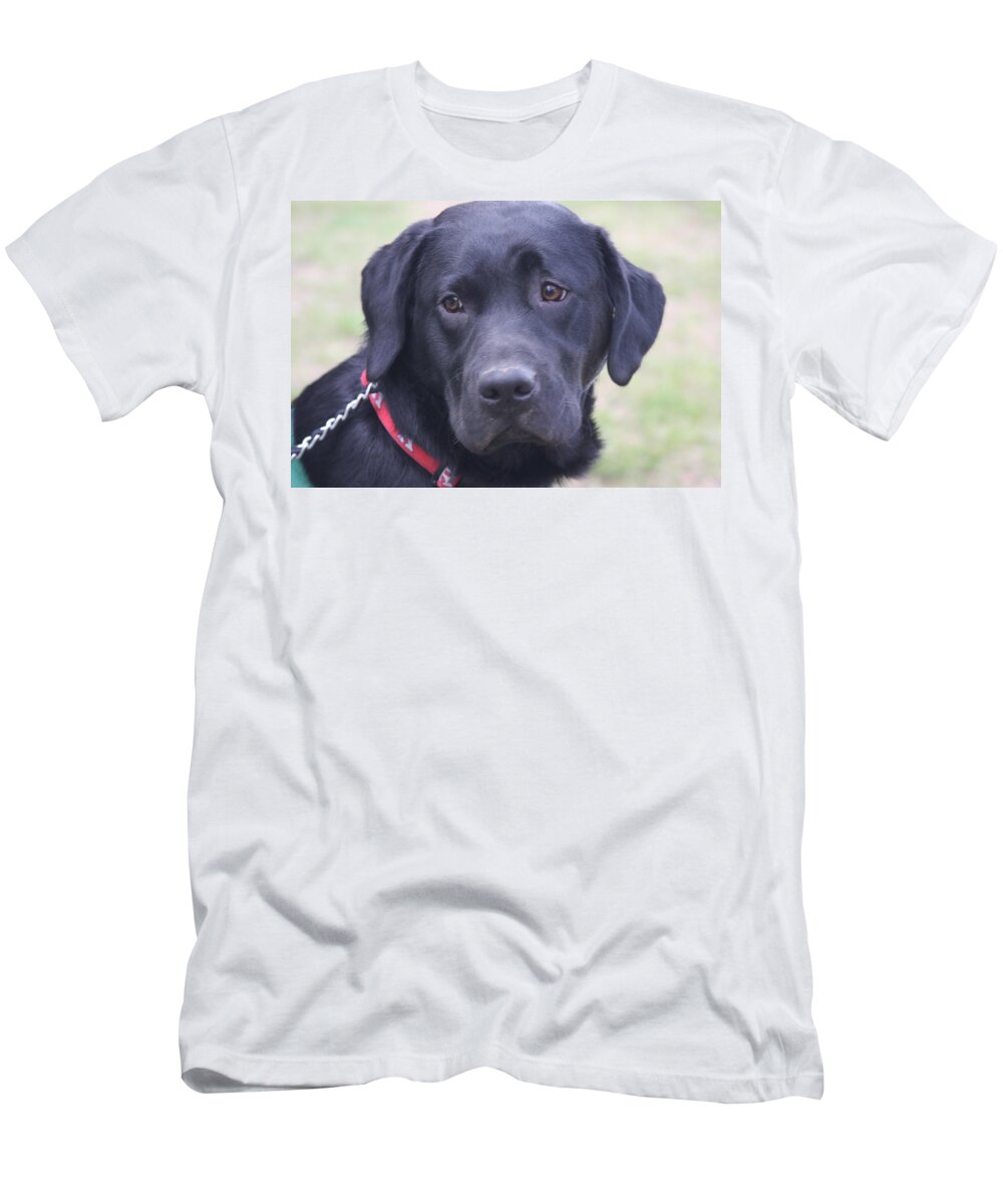Dog T-Shirt featuring the photograph Love Unflinching by Vadim Levin