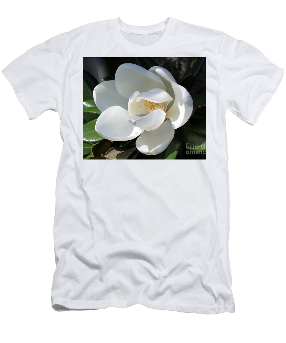 Magnolia_bloom T-Shirt featuring the photograph Magnificent Magnolia by Diann Fisher
