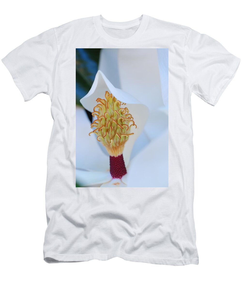 Flower T-Shirt featuring the photograph Magnolia Blossom 1 by Amy Fose