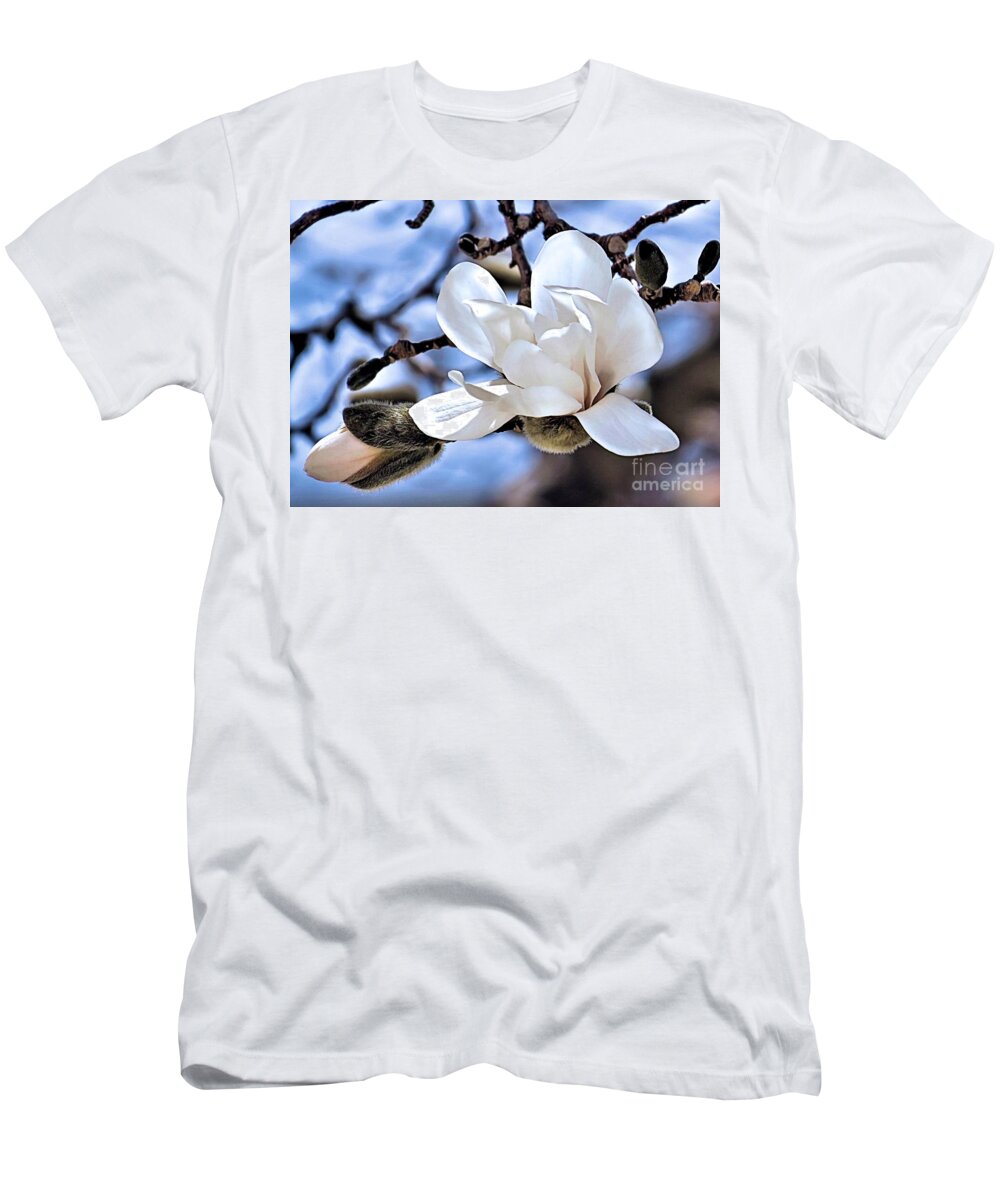 Magnolias T-Shirt featuring the photograph Magnolia Branch by Janice Drew