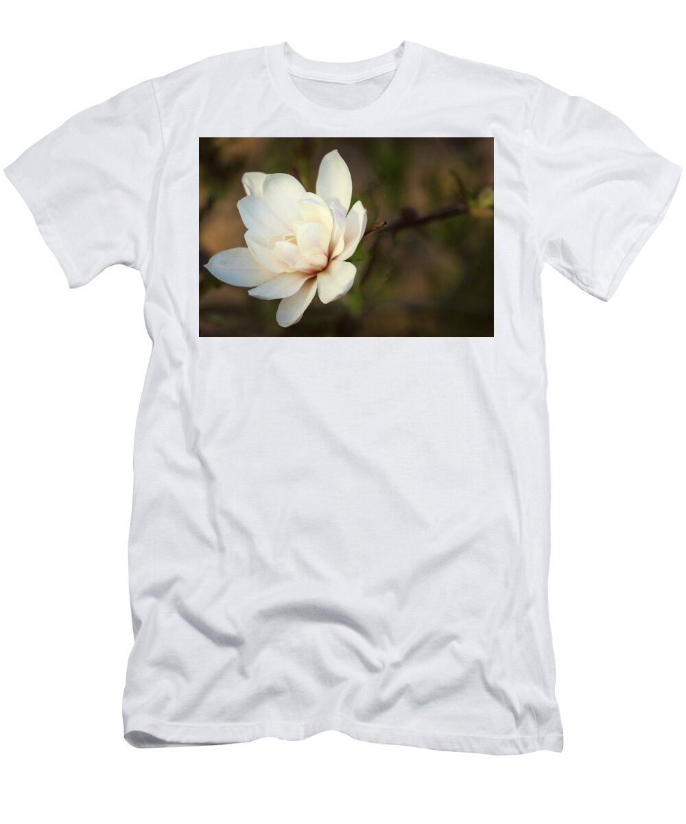 Illinois T-Shirt featuring the photograph Magnolia in Evening Sun by Joni Eskridge