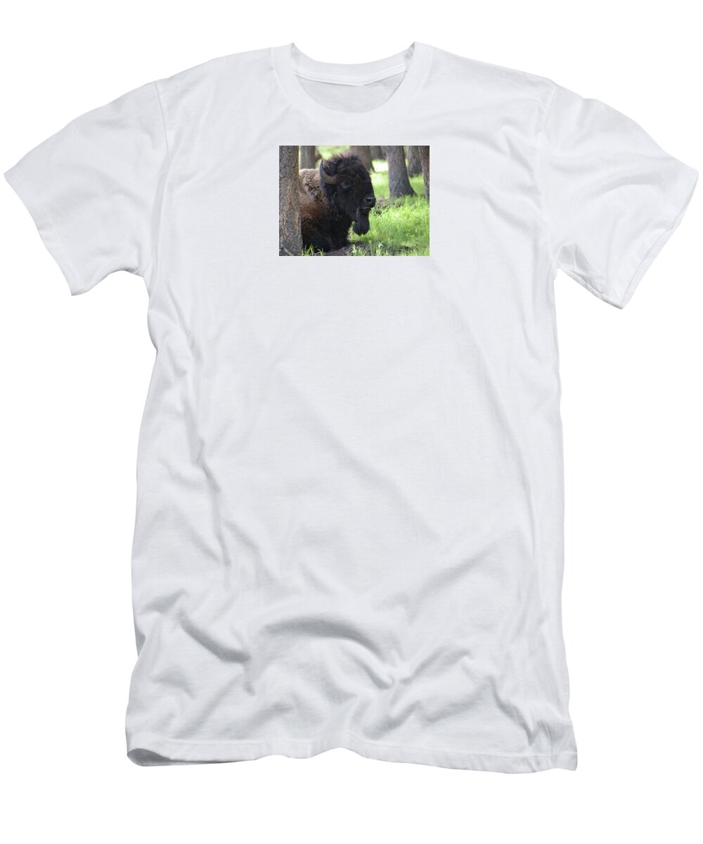 Bison T-Shirt featuring the photograph Majestic Bison by Whispering Peaks Photography