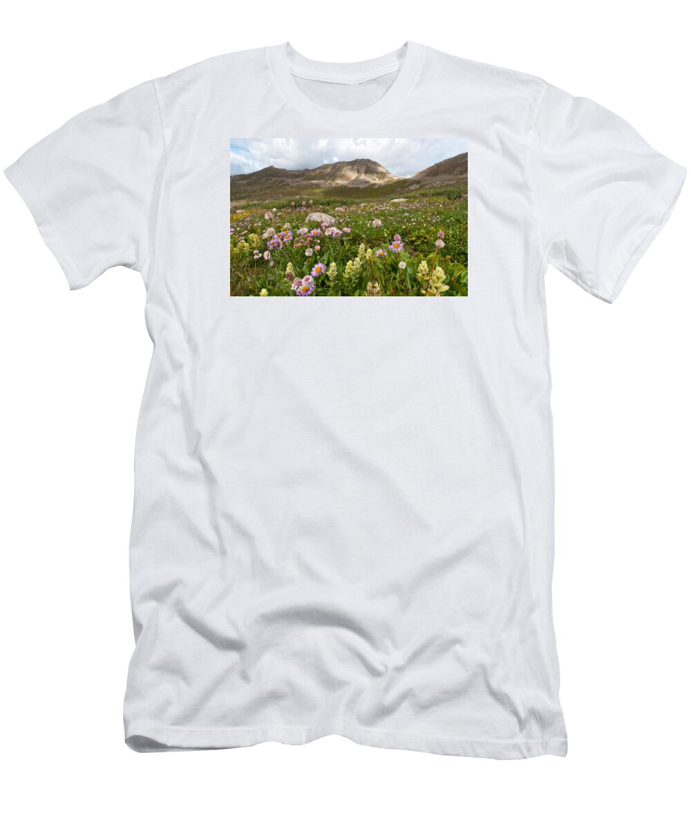 Summer T-Shirt featuring the photograph Majestic Colorado Alpine Meadow by Cascade Colors