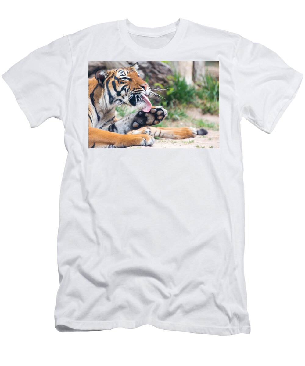 El Paso T-Shirt featuring the photograph Malayan Tiger Grooming by SR Green