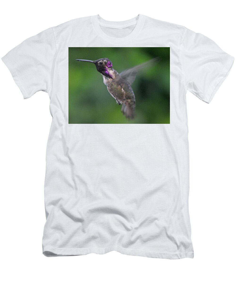 In Flight T-Shirt featuring the photograph Male Anna's Hummingbird In Flight by Jay Milo