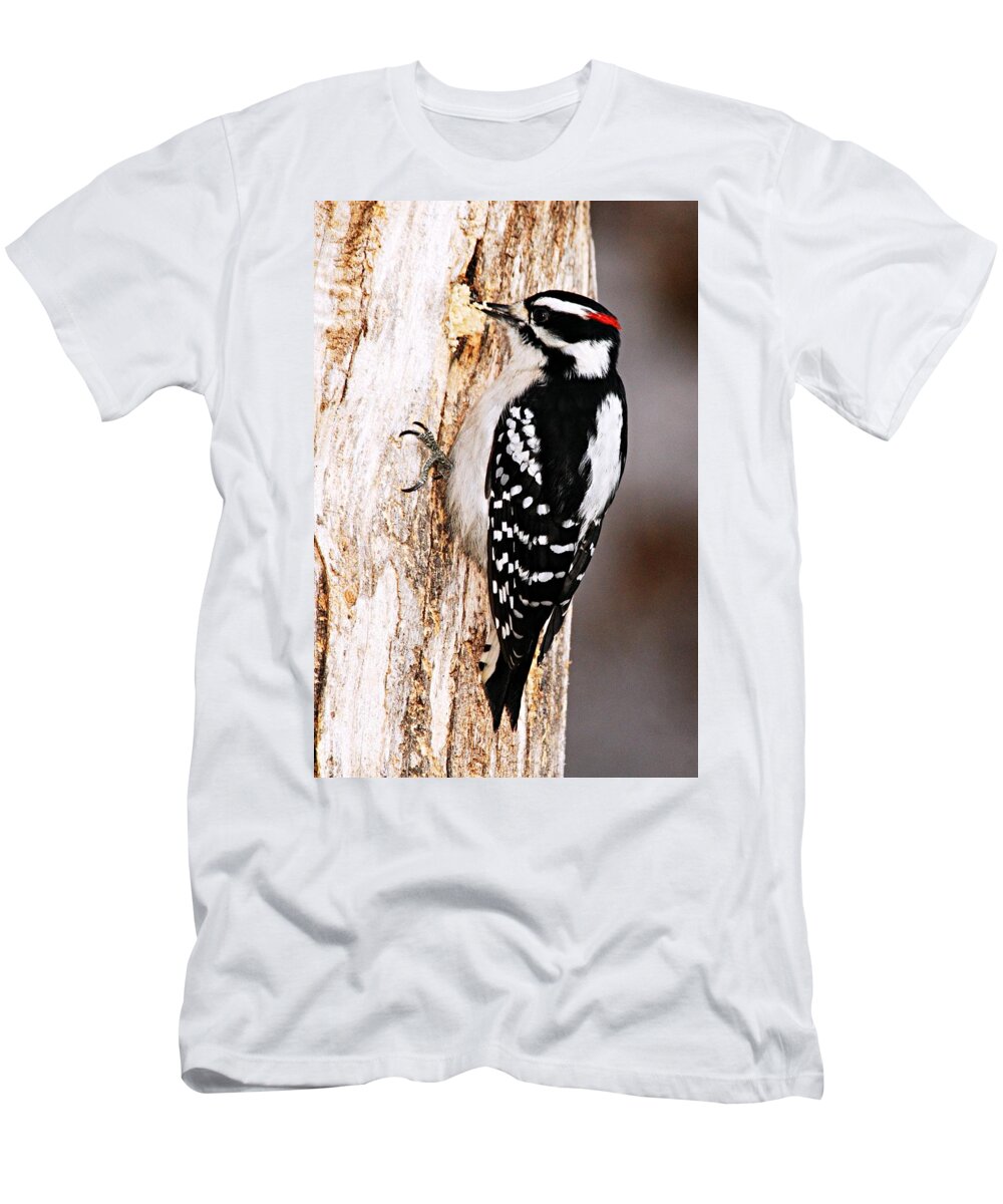 Photography T-Shirt featuring the photograph Male Hairy Woodpecker by Larry Ricker