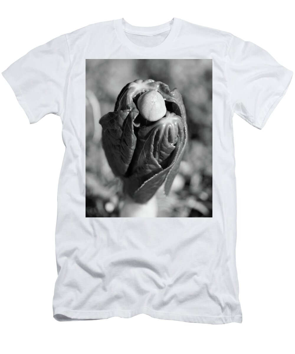 Black T-Shirt featuring the photograph May Apple BW #488 by Raymond Magnani