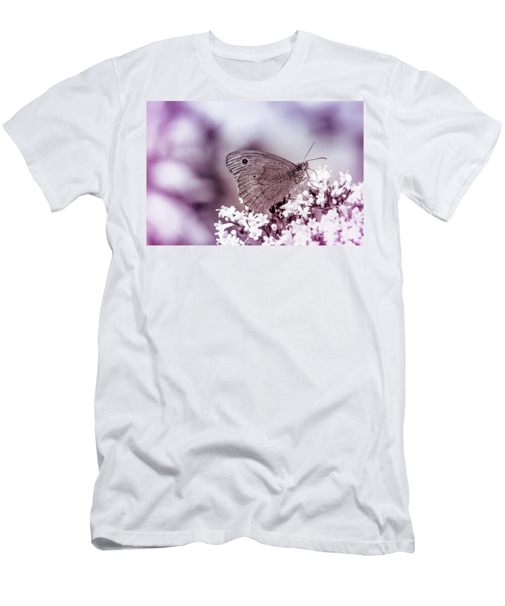 Plants T-Shirt featuring the photograph Meadow brown, Maniola jurtina by Amanda Mohler