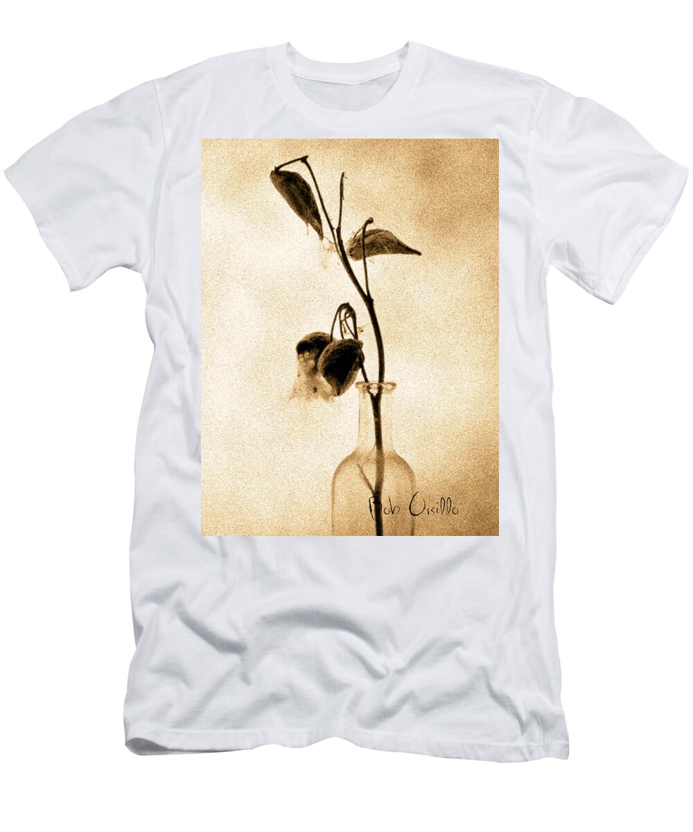 Plant T-Shirt featuring the photograph Milk Weed In A Bottle by Bob Orsillo