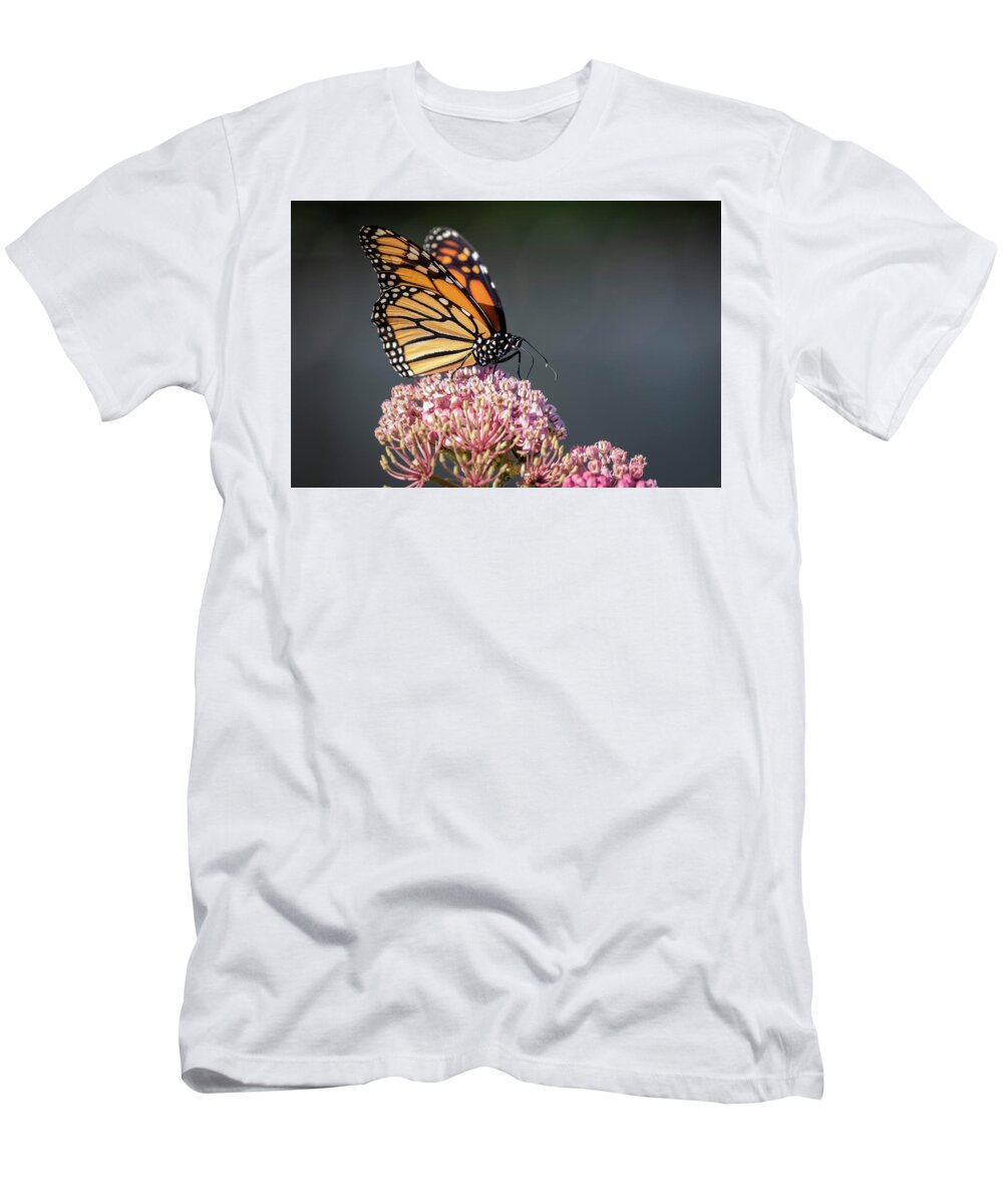 Monarch Butterfly T-Shirt featuring the photograph Monarch 2018-6 by Thomas Young