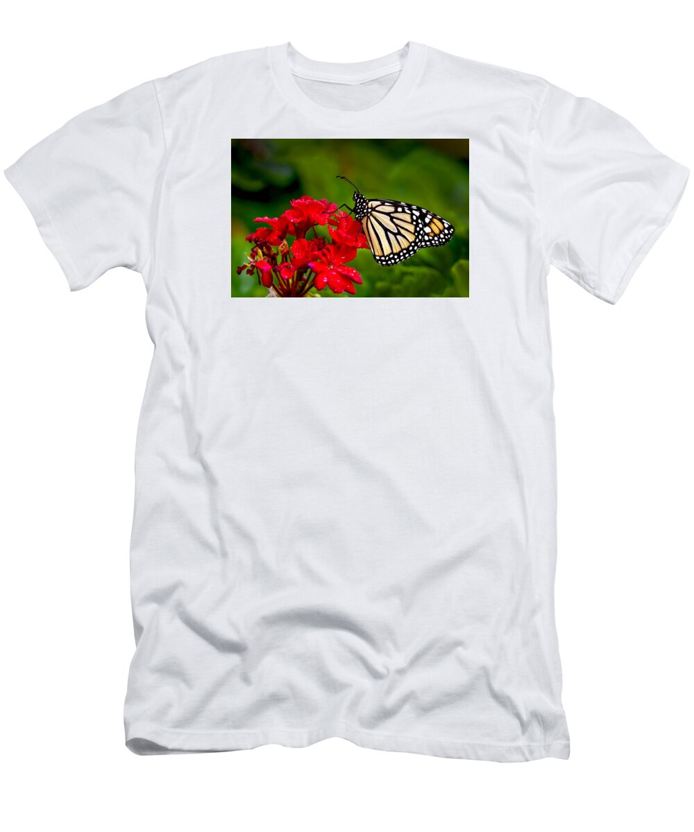 Monarch Butterfly T-Shirt featuring the photograph Monarh Butterfly by Ken Barrett