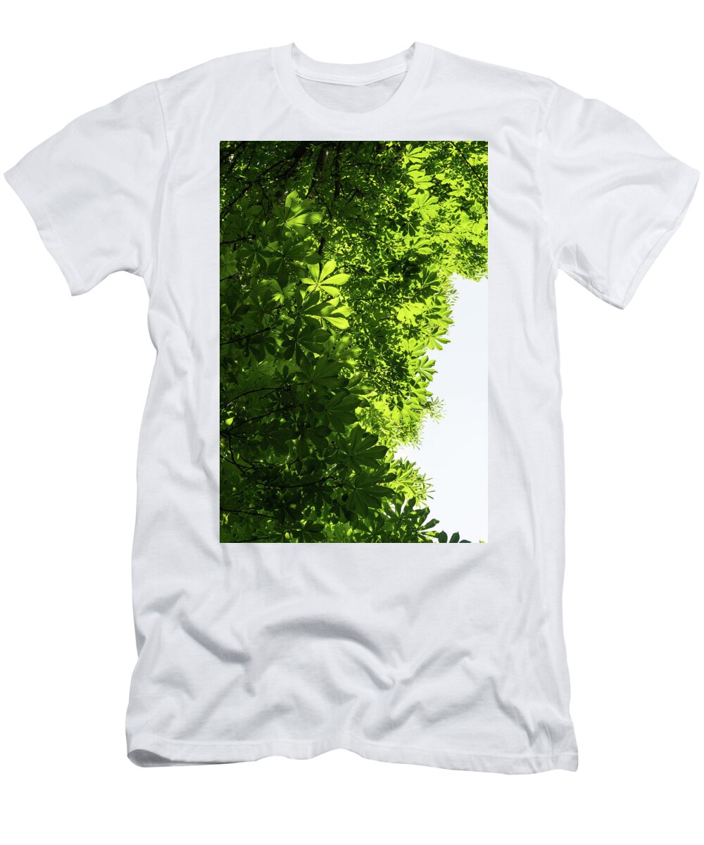 Georgia Mizuleva T-Shirt featuring the photograph More Than Fifty Shades Of Green - Sunlit Chestnut Leaves Patterns - Vertical Left Two by Georgia Mizuleva