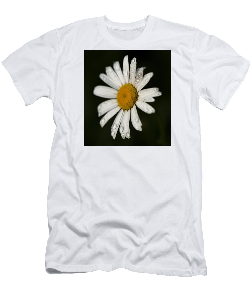  T-Shirt featuring the photograph Morning Daisy by Dan Hefle