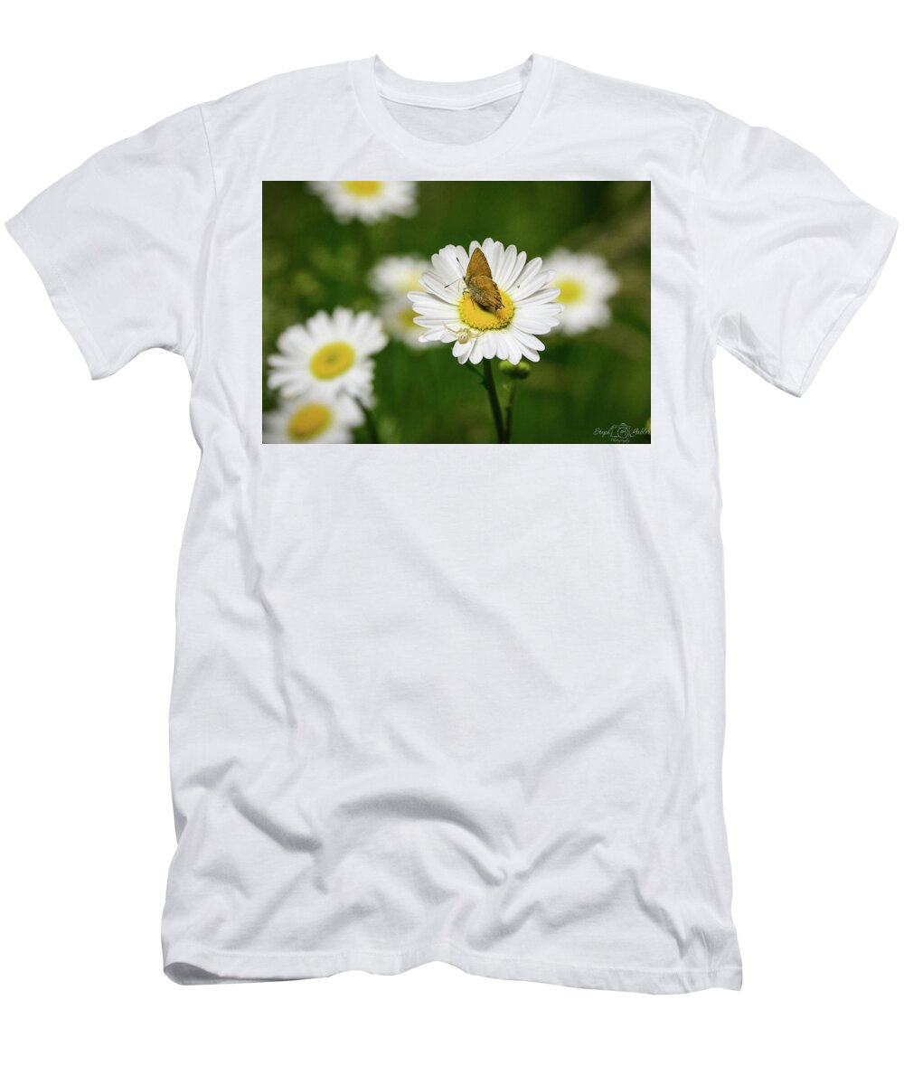 Moth T-Shirt featuring the photograph Moth Meets Spider by Steph Gabler