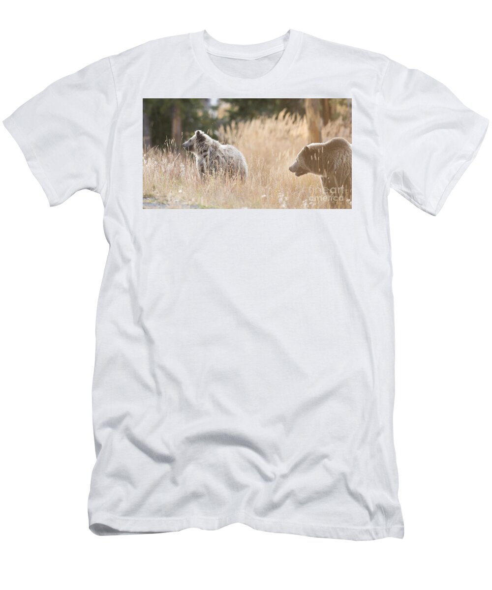 Yellowstone T-Shirt featuring the photograph Mother's Love by Deby Dixon