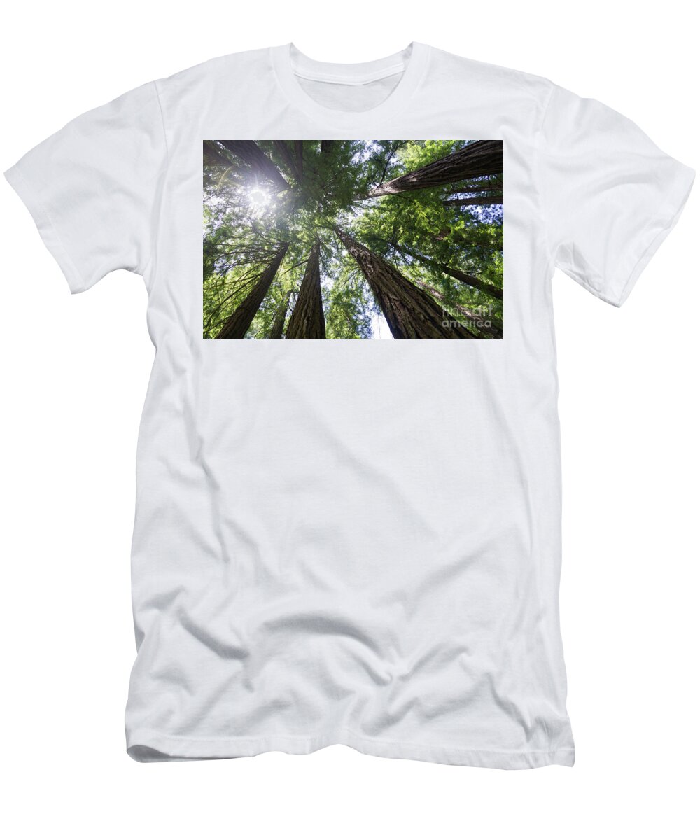 Tree T-Shirt featuring the photograph Muir Woods No.1 by Scott Evers