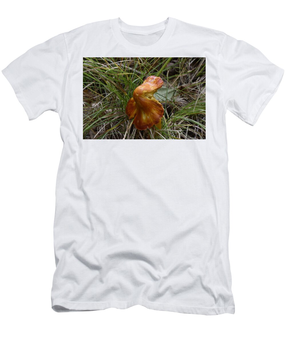 Mushroom T-Shirt featuring the photograph Mushroom in Grass by Paul Freidlund