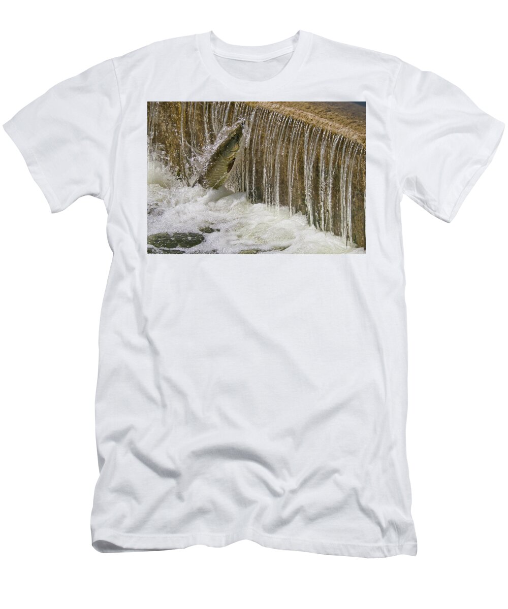 Muskie T-Shirt featuring the photograph Muskie 2 - Lake Wingra - Madison - Wisconsin by Steven Ralser