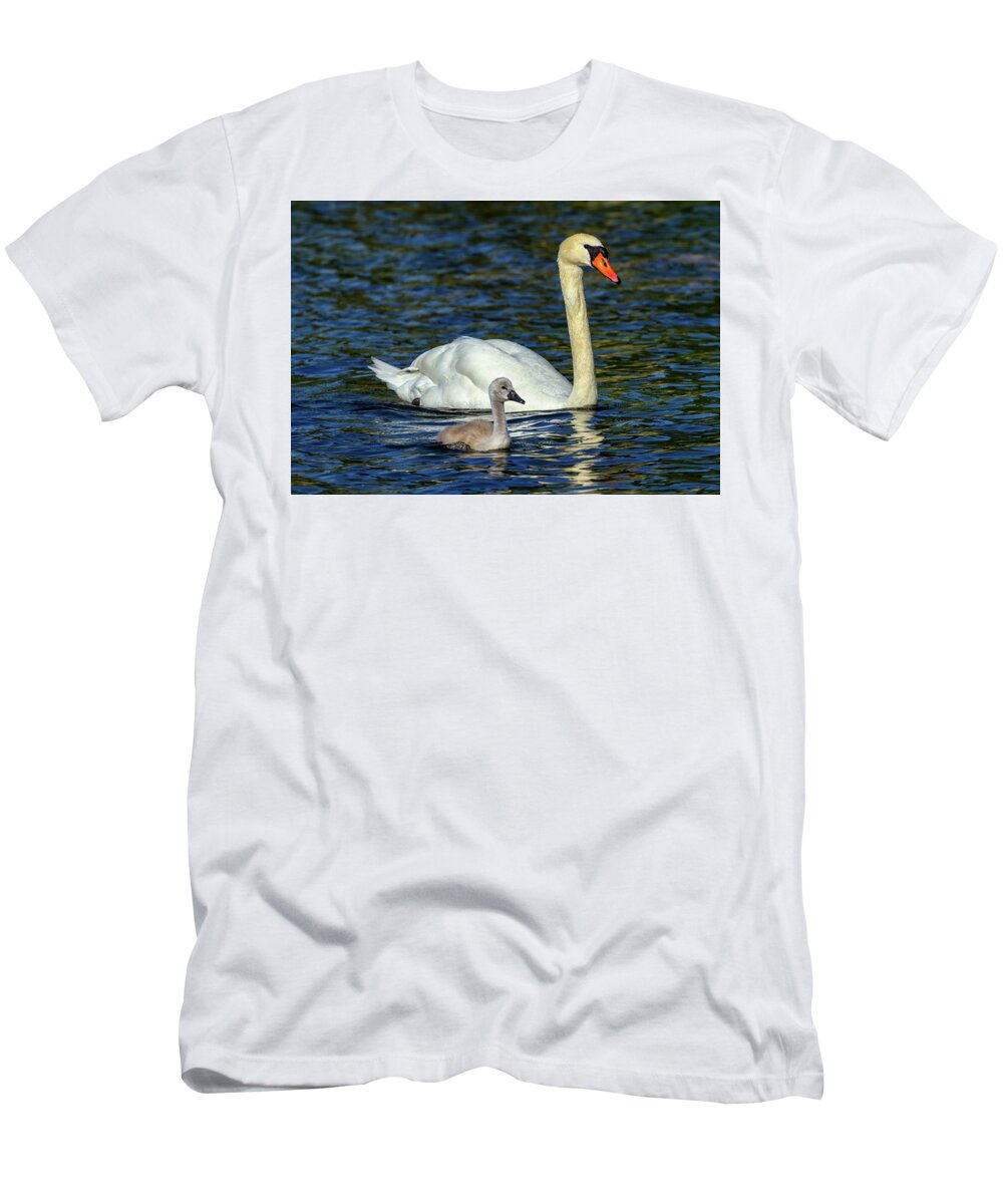 Swan T-Shirt featuring the photograph Mute swan, cygnus olor, mother and baby by Elenarts - Elena Duvernay photo