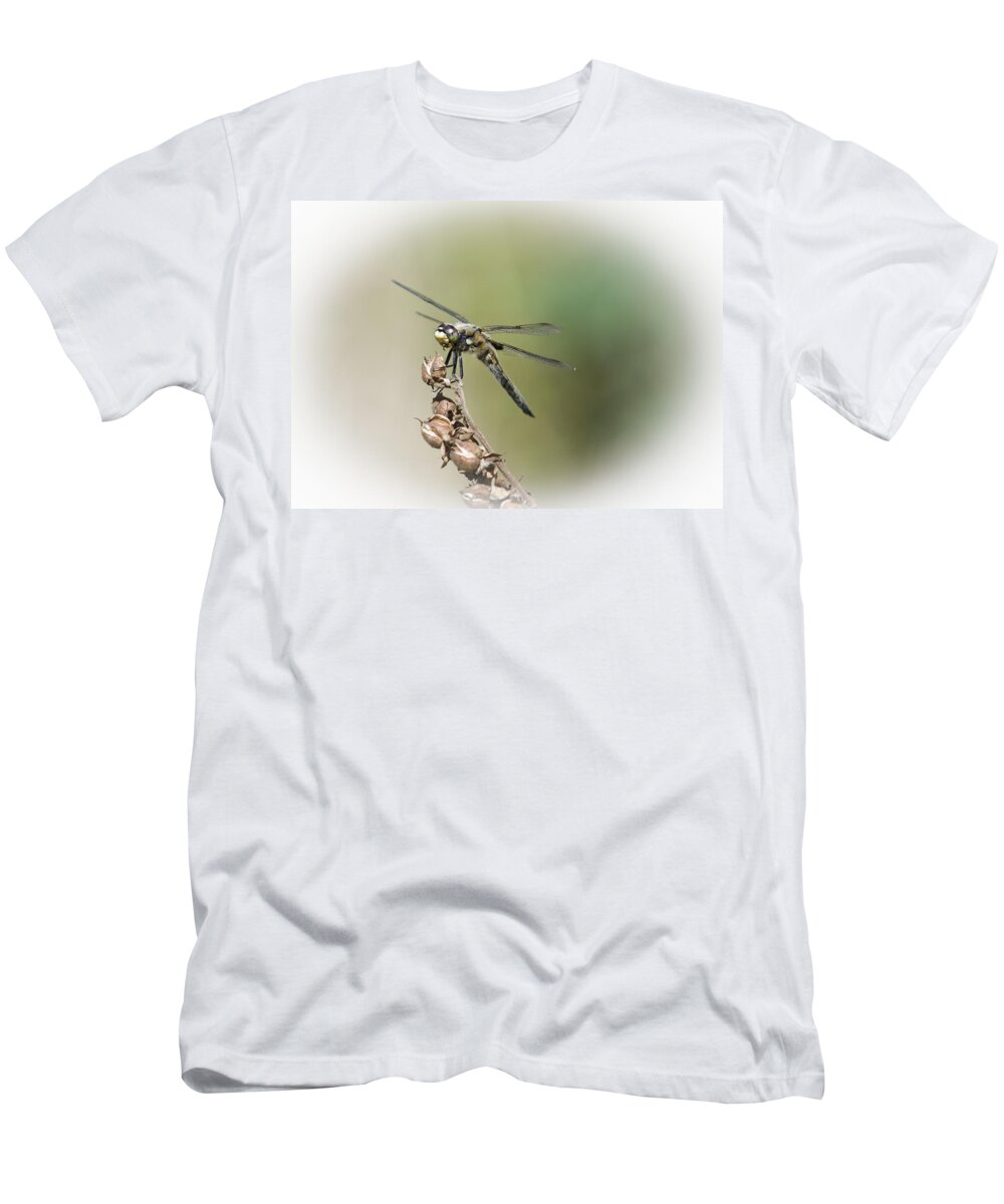 Aquatic Insects T-Shirt featuring the photograph Naked Lunch by Robert Potts