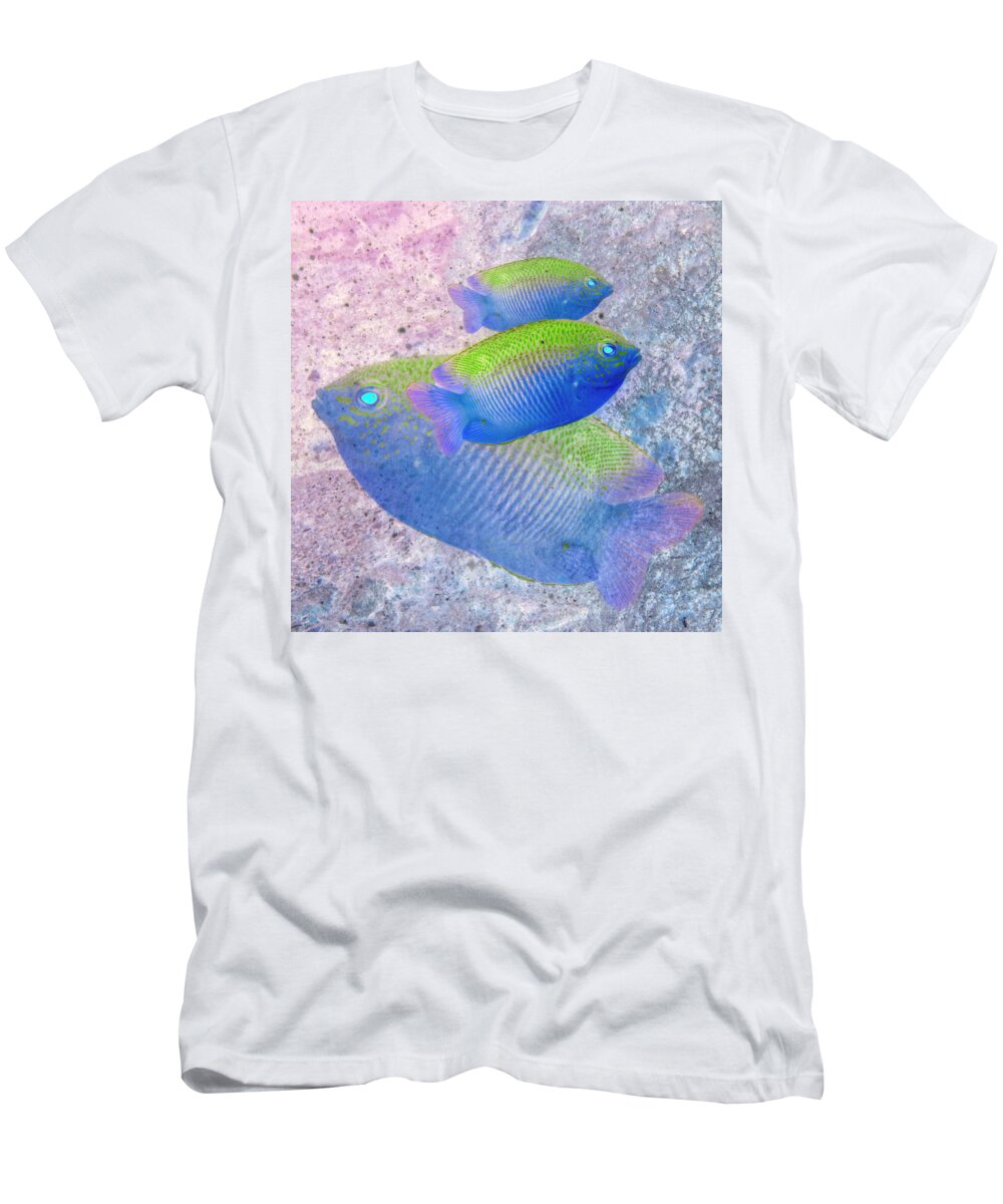 Florida T-Shirt featuring the photograph Nautical Beach and Fish #3 by Debra and Dave Vanderlaan