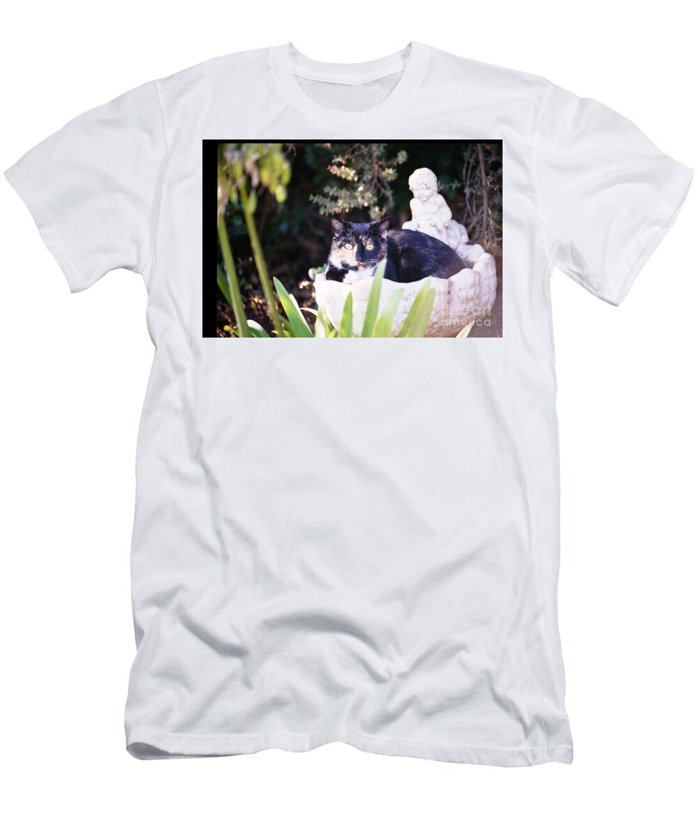Cat T-Shirt featuring the photograph Not Just for the Birds by Cynthia Marcopulos