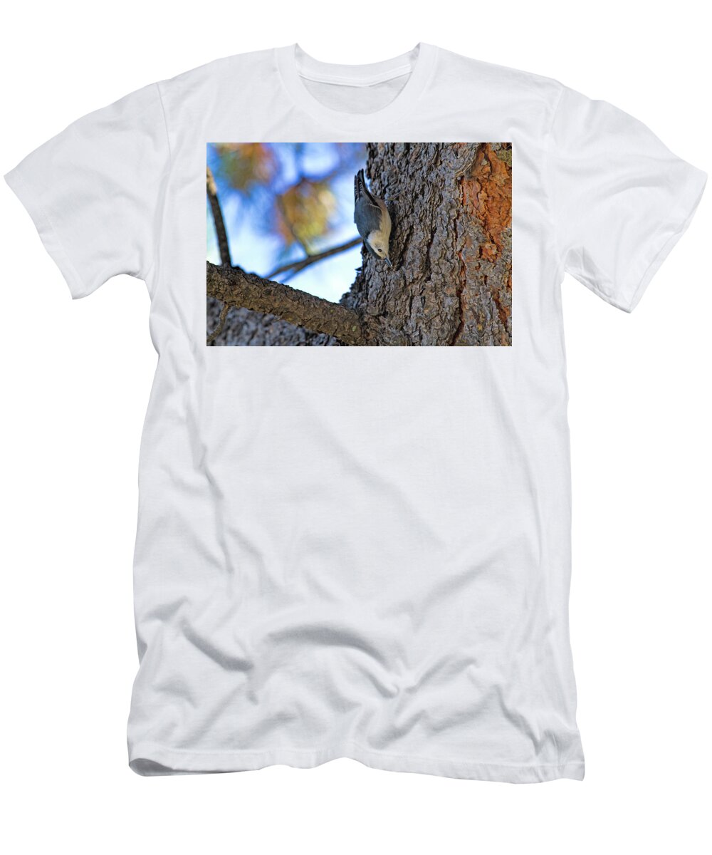 Bird T-Shirt featuring the photograph Nuthatch Maneuver by Alana Thrower