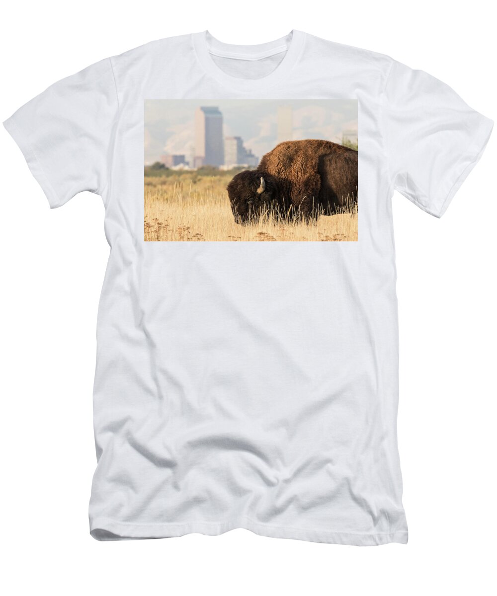 Bison T-Shirt featuring the photograph Old West Bison in Front of New West City by Tony Hake
