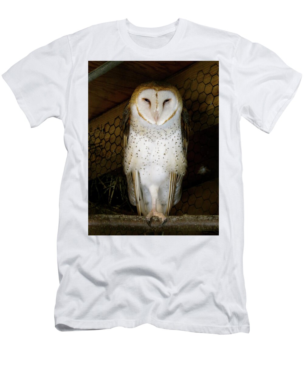 Owl T-Shirt featuring the photograph On one leg by Azthet Photography