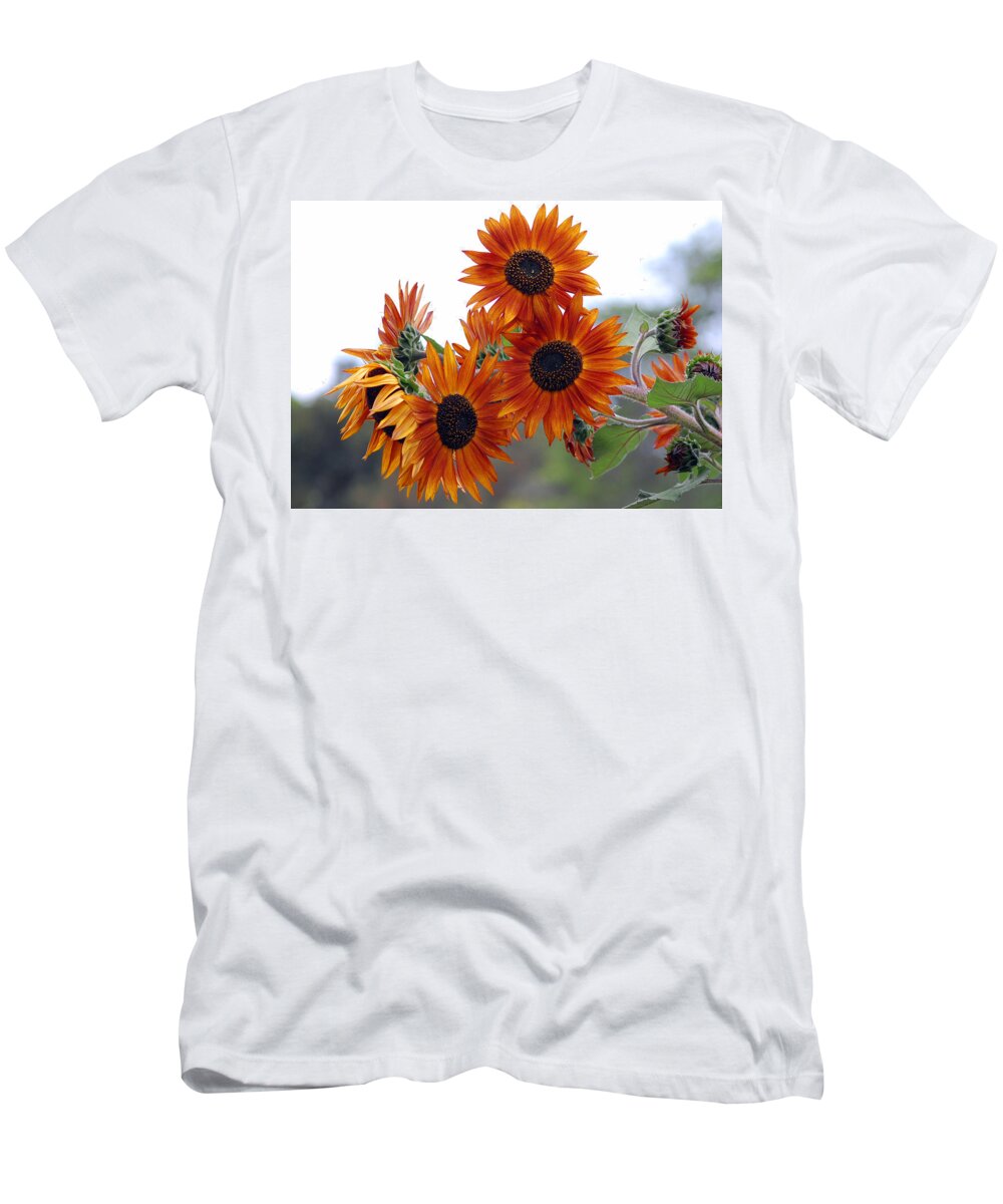 Sunflower T-Shirt featuring the photograph Orange Sunflower 1 by Amy Fose