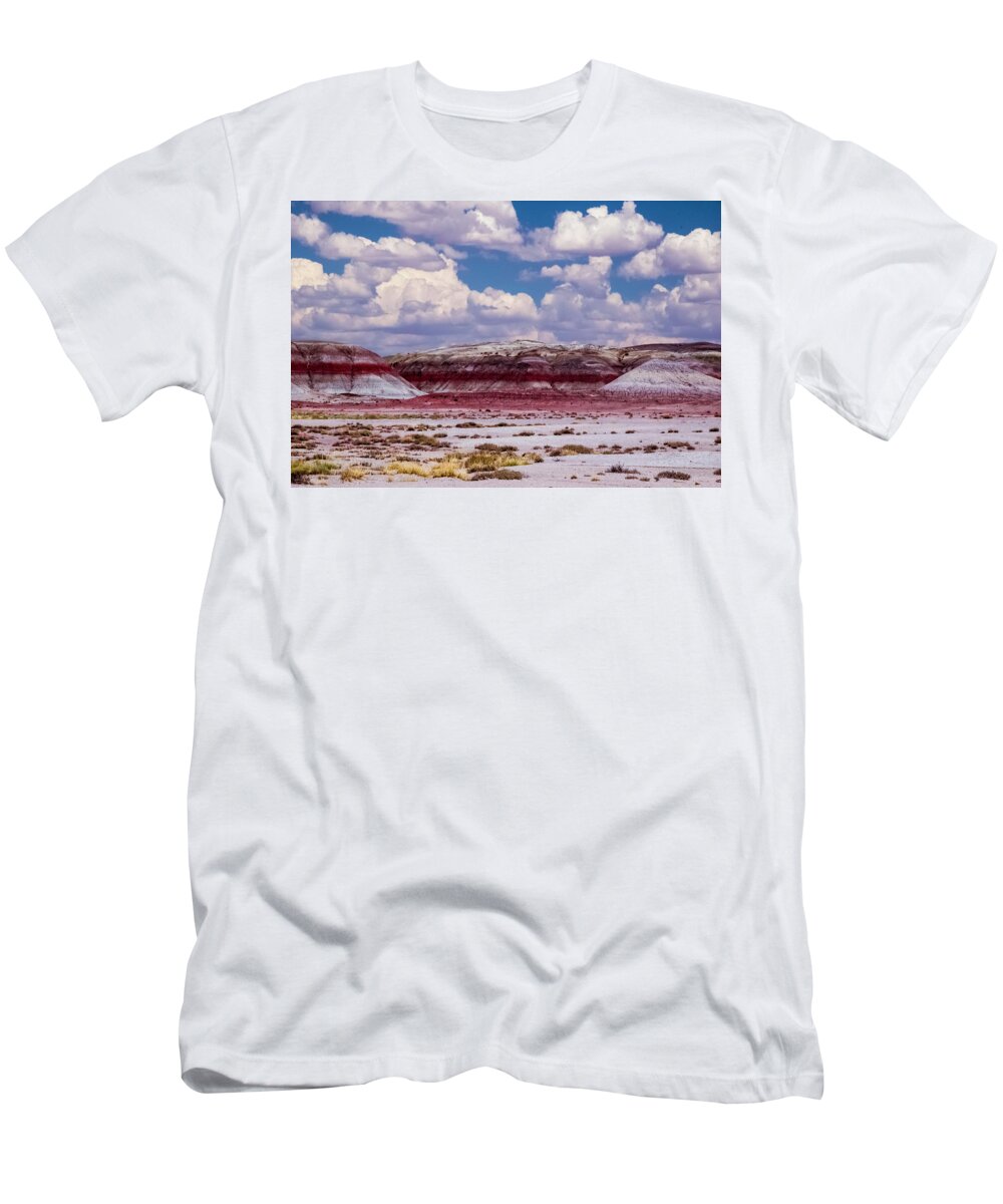 Desert T-Shirt featuring the photograph Painted Desert by Will Burlingham