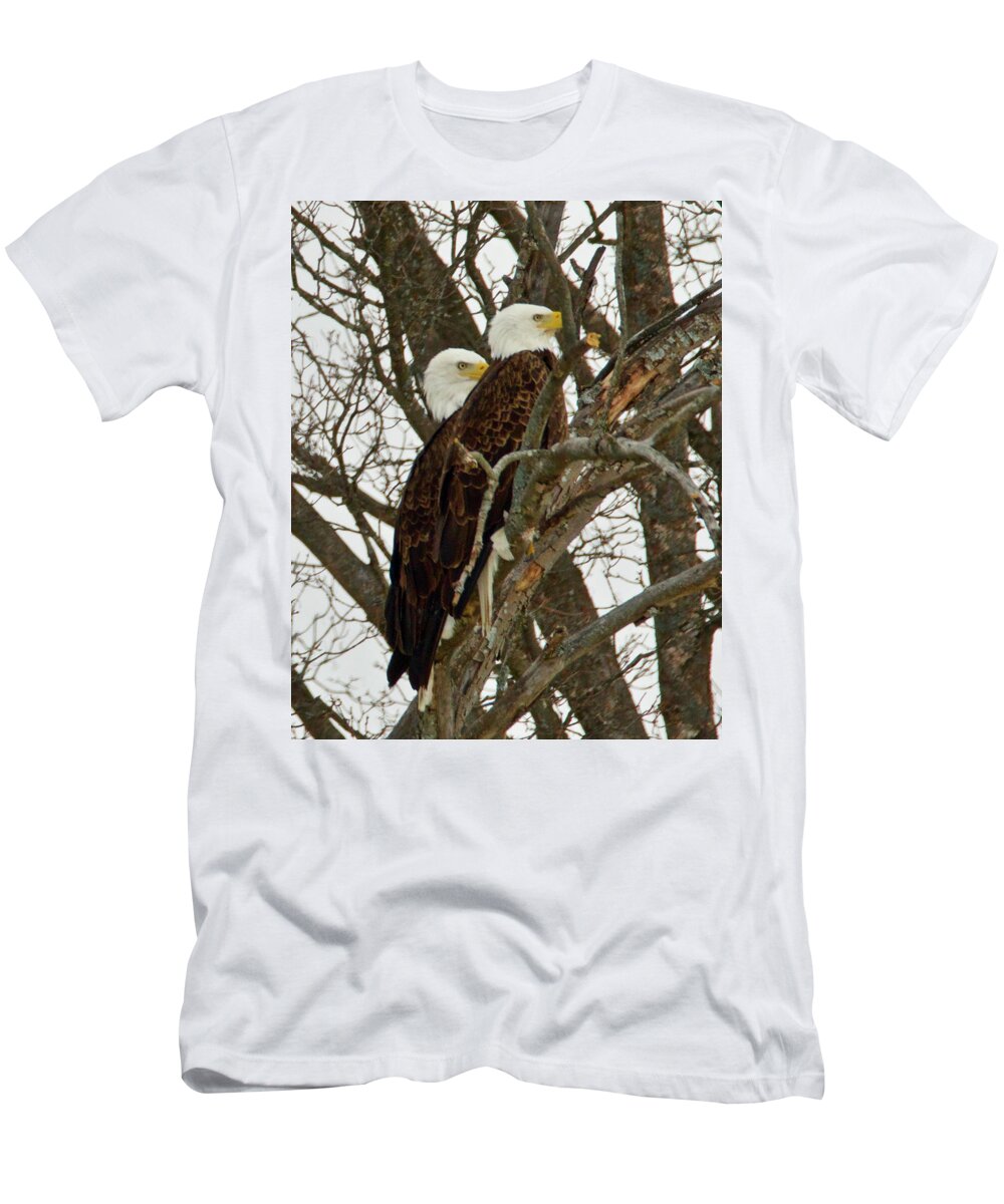 Pair T-Shirt featuring the photograph Pair of Bald Eagles 0740 by Michael Peychich