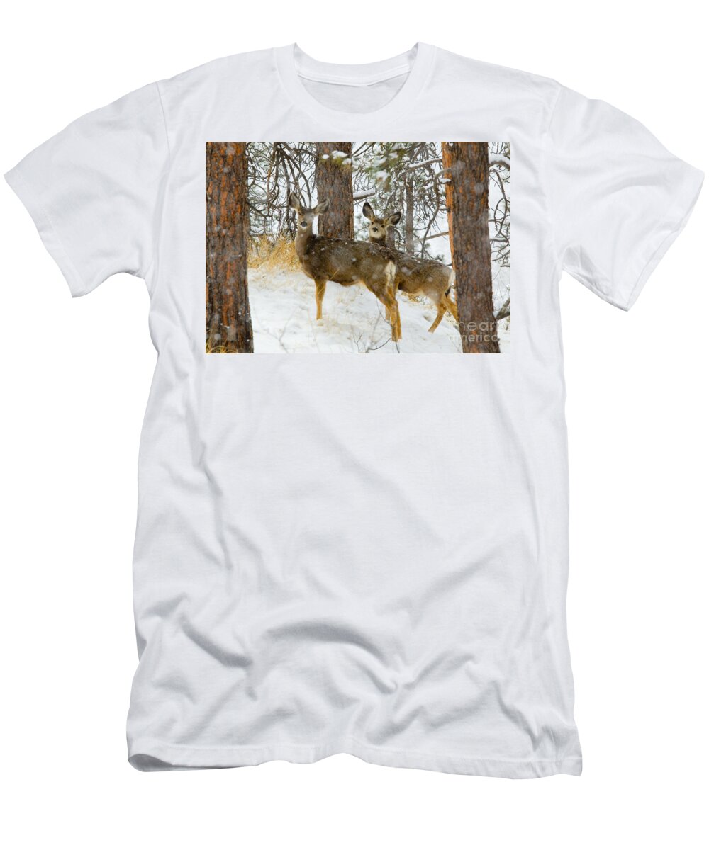 Deer T-Shirt featuring the photograph Pair of Deer in Heavy Snow in the Pike National Forest by Steven Krull