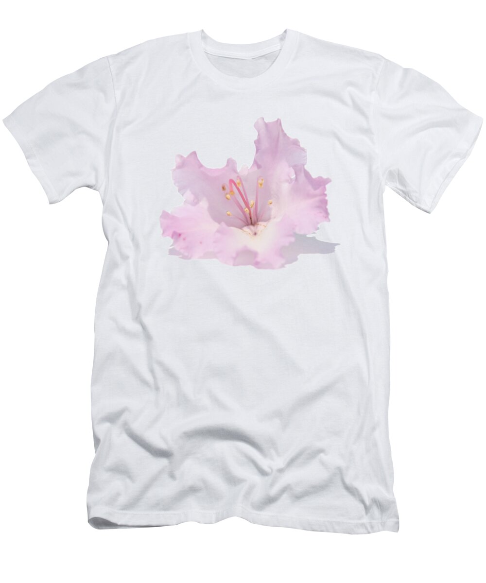 T-shirt T-Shirt featuring the photograph Pale Pink Rhododendron on Transparent background by Terri Waters