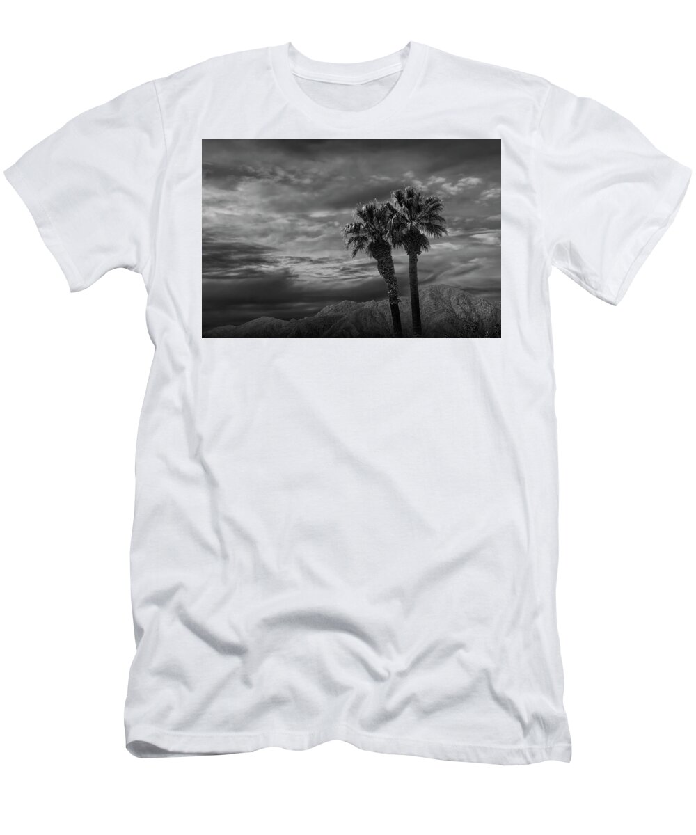 Tree T-Shirt featuring the photograph Palm Trees by Borrego Springs in Black and White by Randall Nyhof