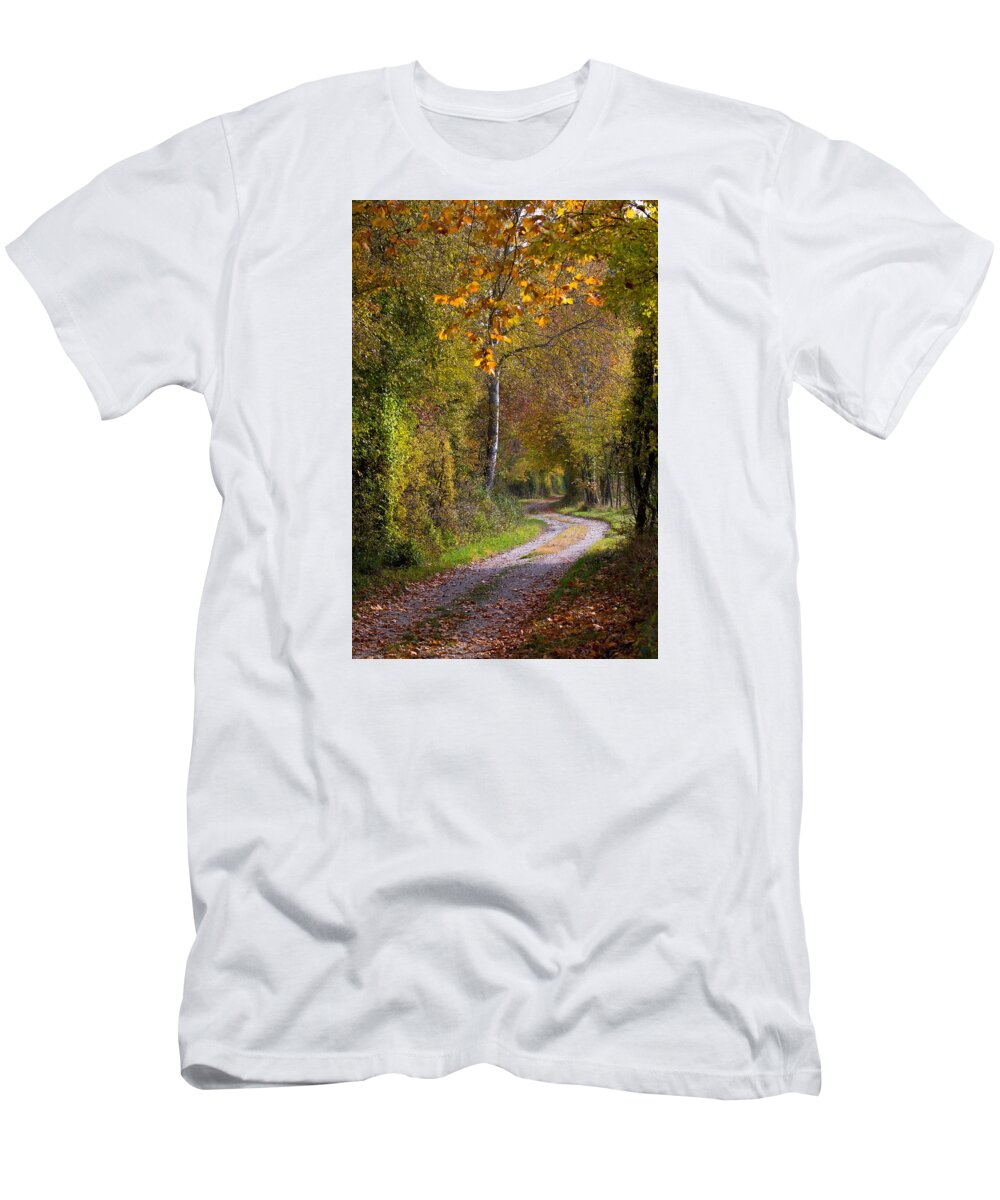 Autumn T-Shirt featuring the photograph Path Through Autumn Forest by Andreas Berthold