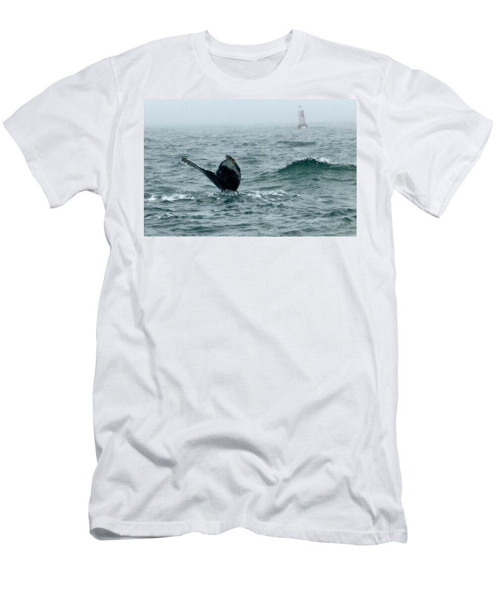 Humpback Whales T-Shirt featuring the photograph Humpback Flukes and Buoy by Amelia Racca