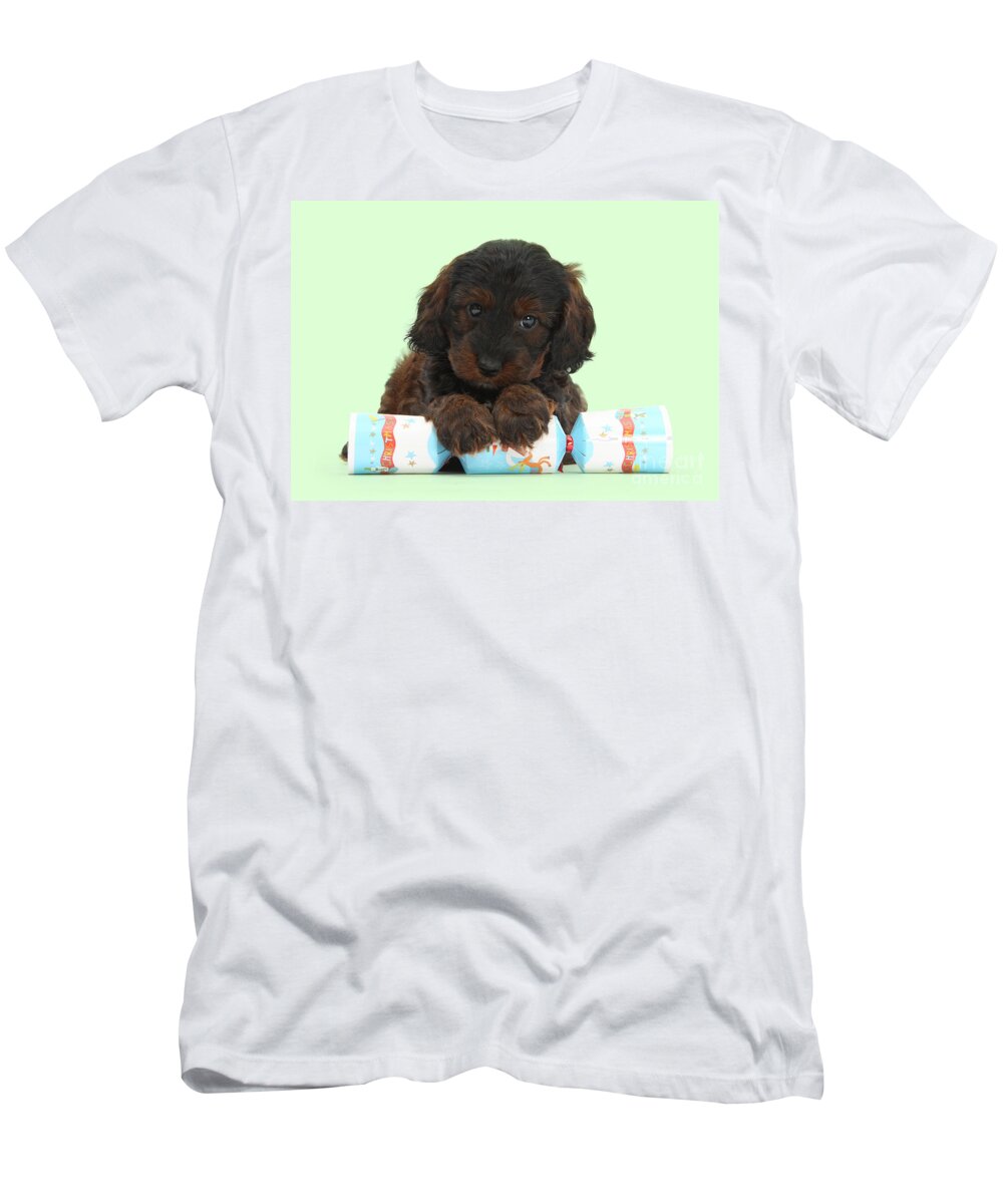 Cockapoo T-Shirt featuring the photograph Paws to pull a Cracker by Warren Photographic