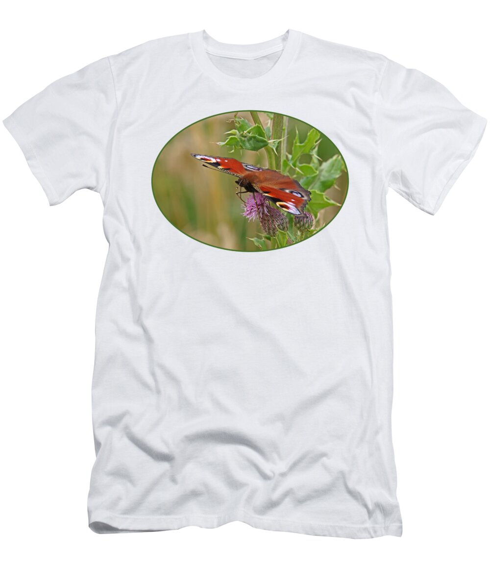 Butterfly T-Shirt featuring the photograph Peacock Butterfly on Thistle by Gill Billington