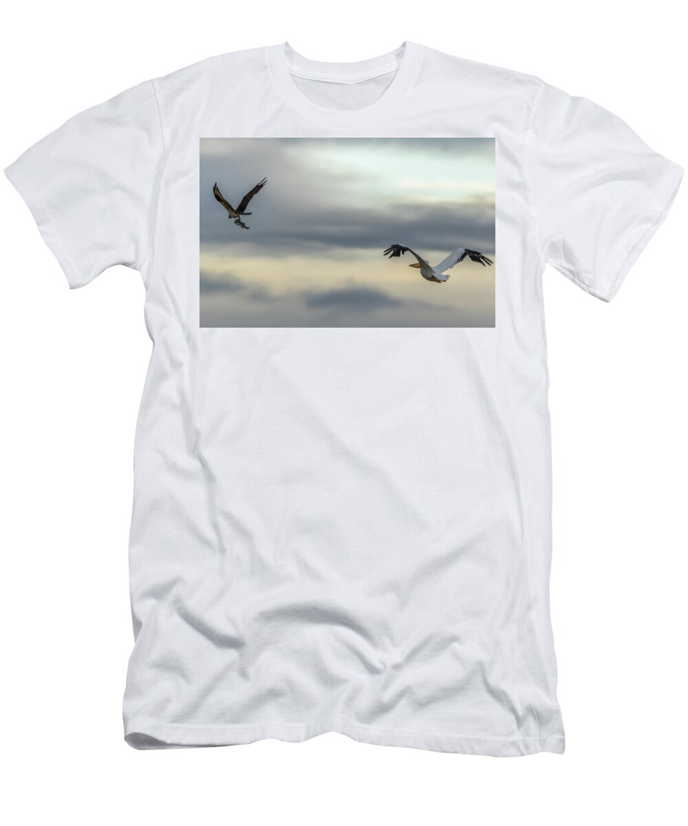 California T-Shirt featuring the photograph Pelican Chasing Osprey by Marc Crumpler