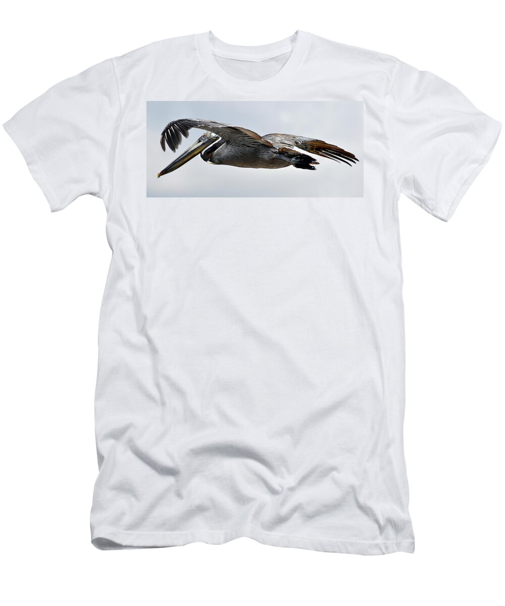Pelican T-Shirt featuring the photograph Pelican in Flight by WAZgriffin Digital