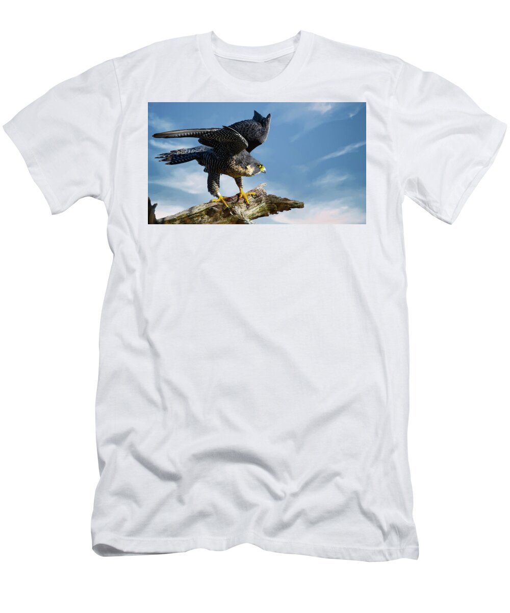 Peregrine Falcon T-Shirt featuring the photograph Peregrine falcon by Sam Rino