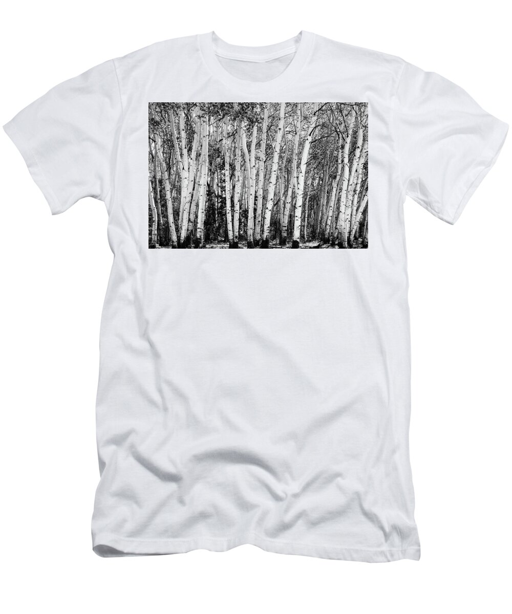 Sangre De Cristo Mountains T-Shirt featuring the photograph Pillars Of The Wilderness by James BO Insogna