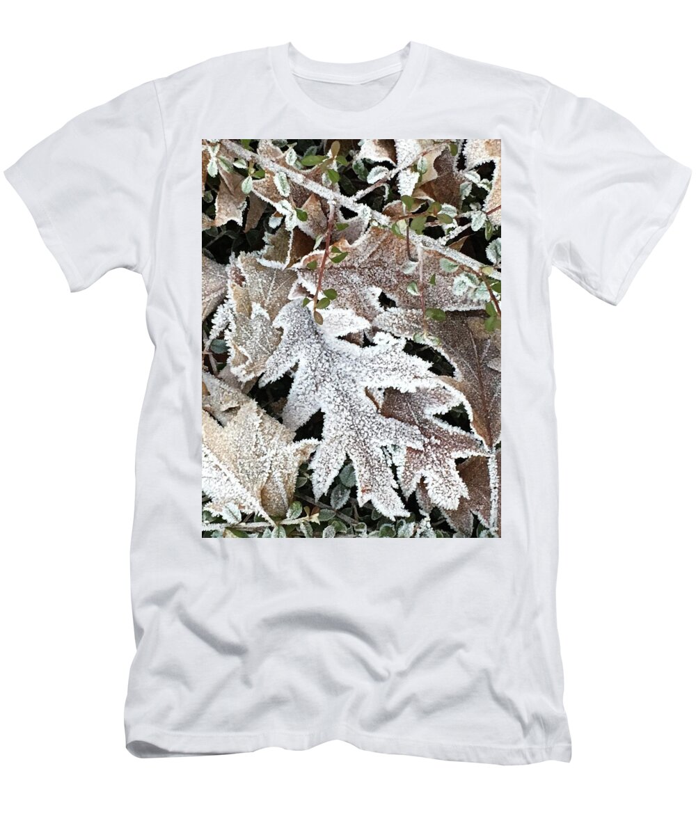 Pin Oak T-Shirt featuring the photograph Pin Oak Leaves 2 by Kathryn Alexander MA