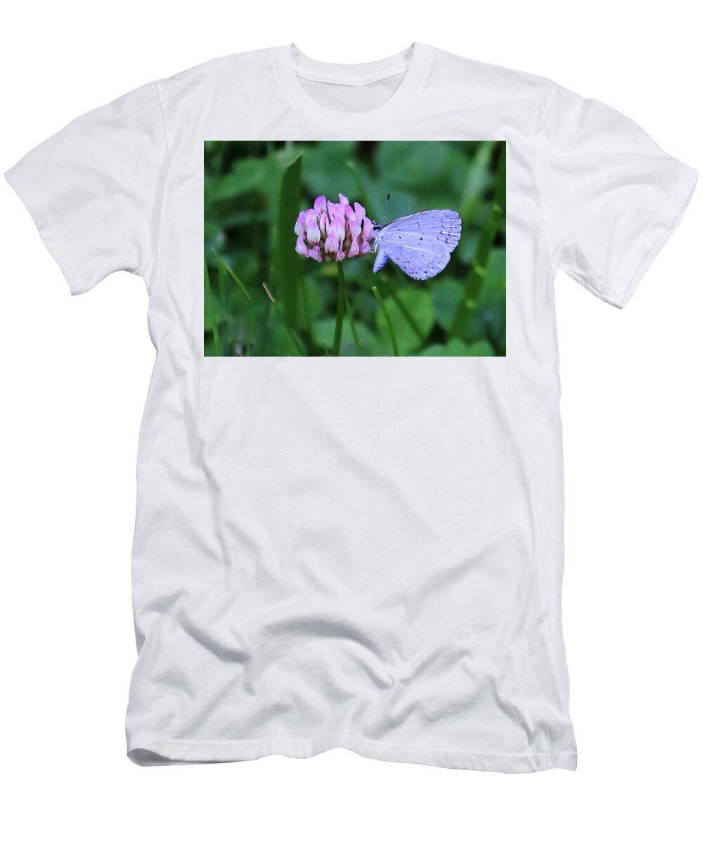 Pink And Blue T-Shirt featuring the photograph Pink and Blue by PJQandFriends Photography