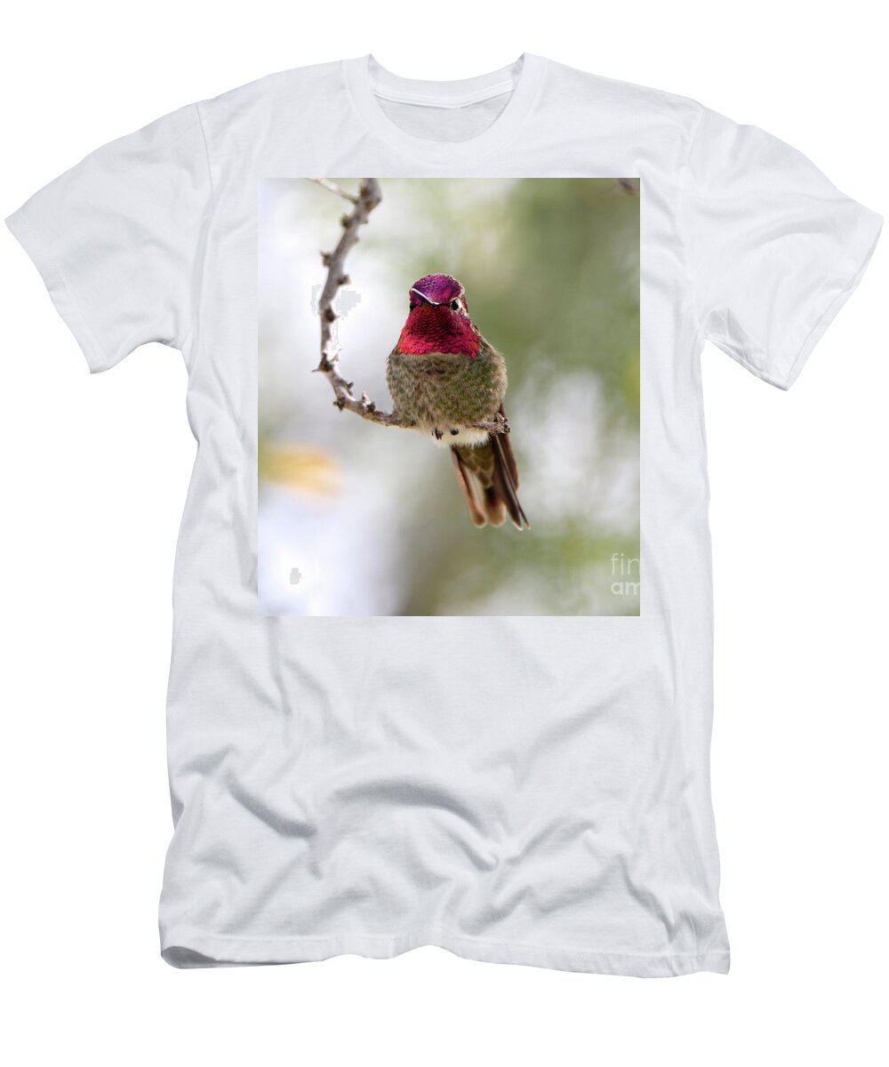Denise Bruchman T-Shirt featuring the photograph Pink Anna's Hummingbird by Denise Bruchman