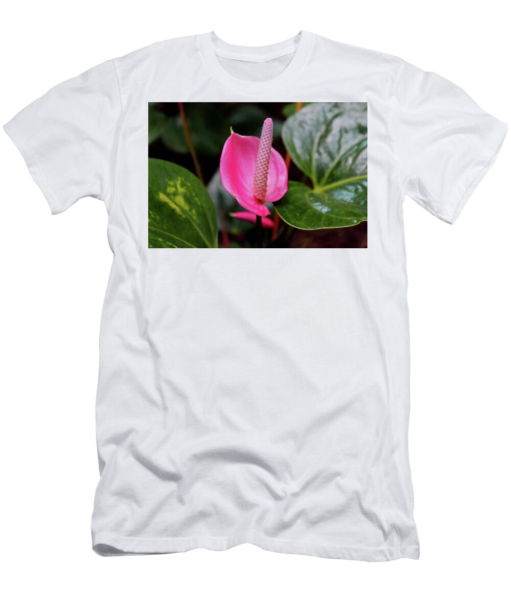 Flamingo T-Shirt featuring the photograph Pink Flamingo Flower I by Michiale Schneider