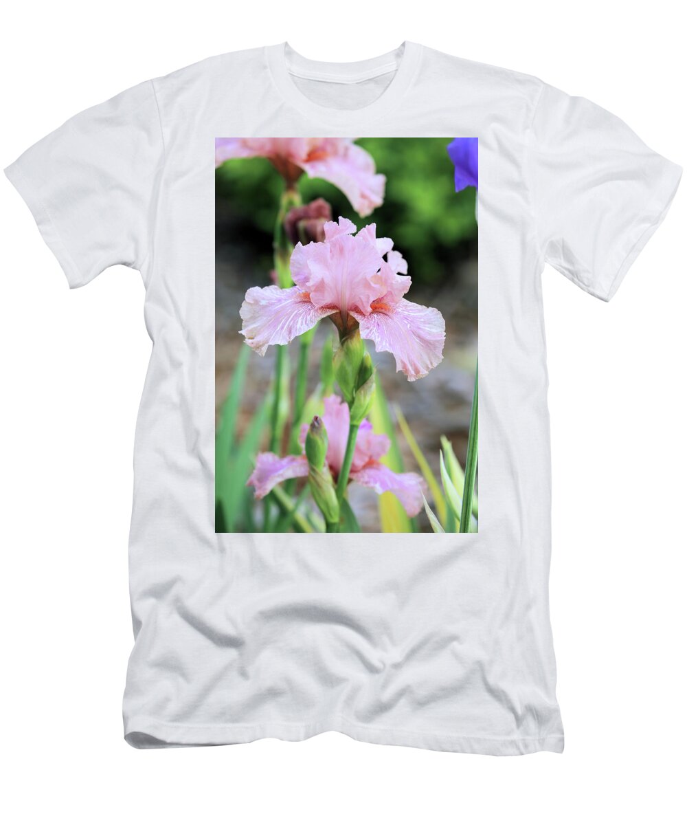 Iris T-Shirt featuring the photograph Pink Iris by Theresa Campbell