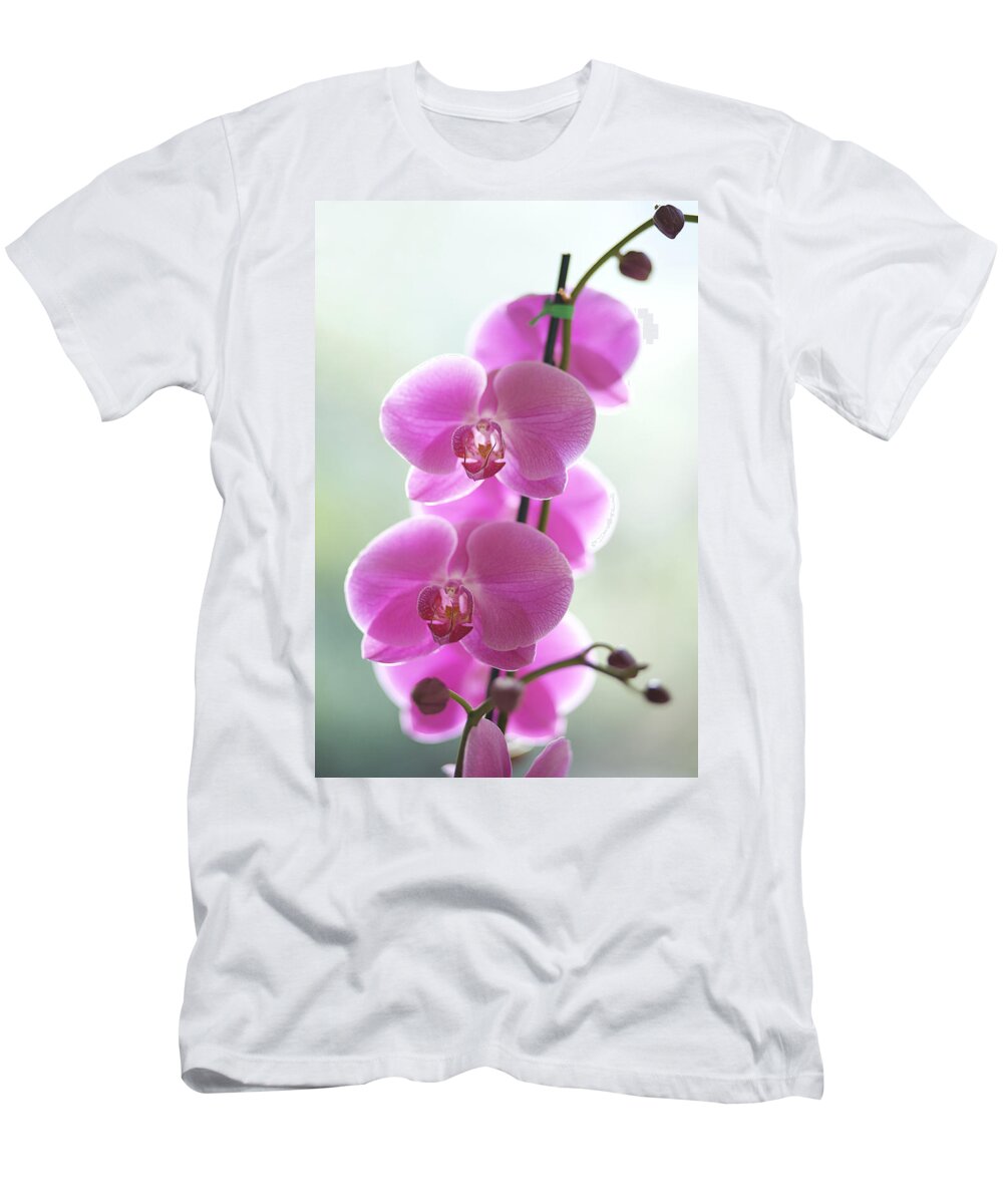 Background T-Shirt featuring the photograph Pink Orchids by Kicka Witte - Printscapes