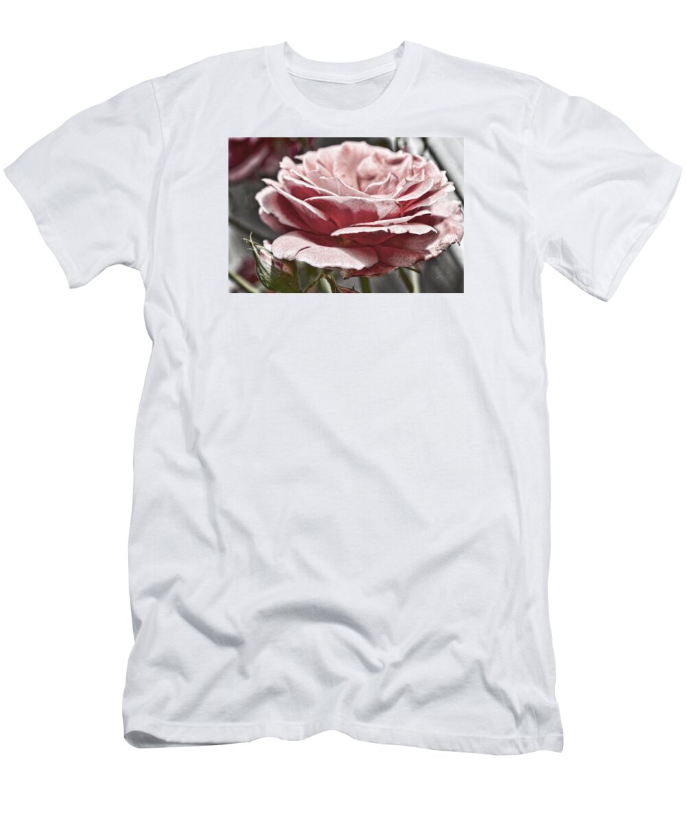 Pink T-Shirt featuring the photograph Pink Rose Faded by Sharon Popek